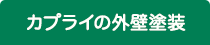 カプライの外装塗装