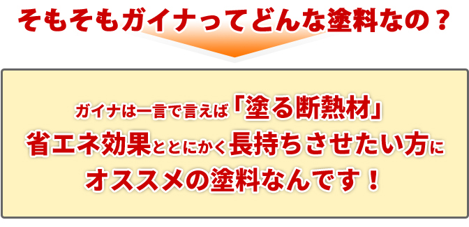 そもそもガイナってどんな塗料なの？