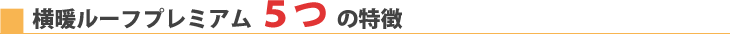 横断ルーフプレミアム5つの特徴